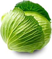cabbage organic vegetables