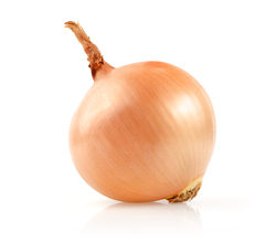 onion organic vegetables
